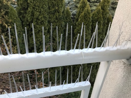 SKUTECZNE PLASTIKOWE KOLCE NA PTAKI GOŁĘBIE 4 KOLORY TRWAŁE i BEZPIECZNE