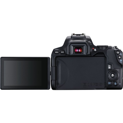 Canon EOS 250D + EF-S 18-55mm f/4-5.6 IS STM