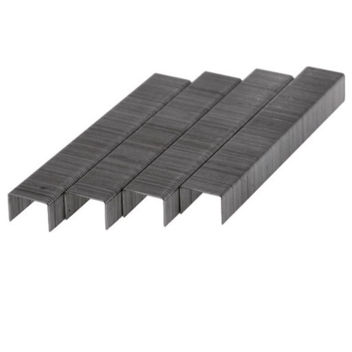 Zszywki DEDRA 11Z110 D53 10 mm (1000 sztuk)