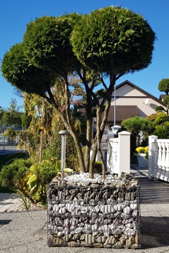 Stone Bark Garden Каменно-гравийная крошка 20 кг