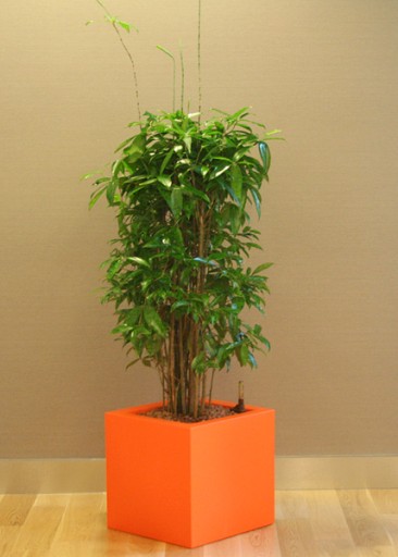 ИТАЛЬЯНСКИЕ квадратные цветочные горшки KUBE 40x40/40 см ЦВЕТА