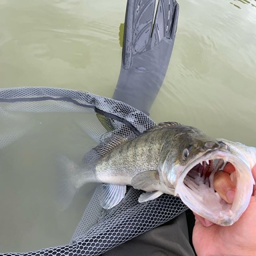 Relax KING SHAD ZANDER РЕЗИНА 4 дюйма - 11,5 см