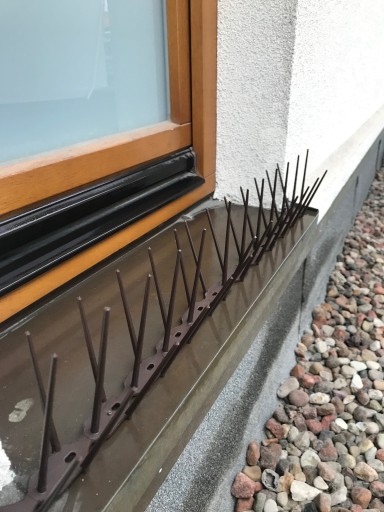 SKUTECZNE PLASTIKOWE KOLCE NA PTAKI GOŁĘBIE 4 KOLORY TRWAŁE i BEZPIECZNE