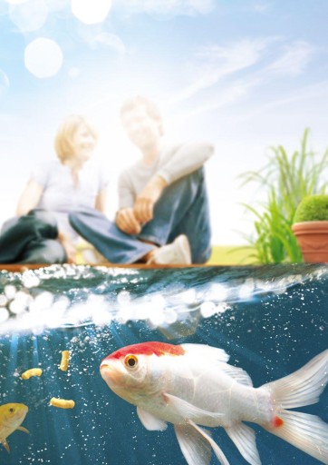 TETRA POND АЛГОРЕМ ДЛЯ ЗЕЛЕНЫХ ВОДОРОСЛЕЙ 500 МЛ