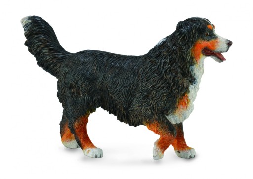 Бернский зенненхунд (L) 88801 COLLECTA