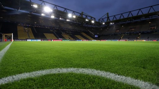 Искусственная трава WIMBLEDON PITCH TERRACE 200x10см