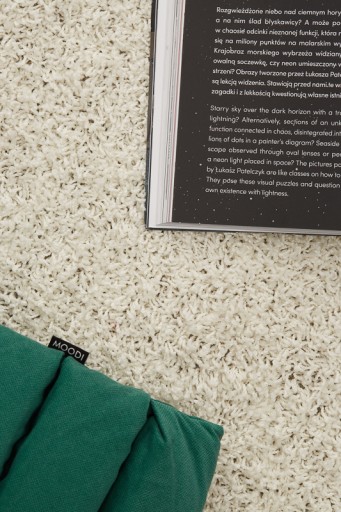 Модный ковер Shaggy Soft Carpet, мягкий ворс