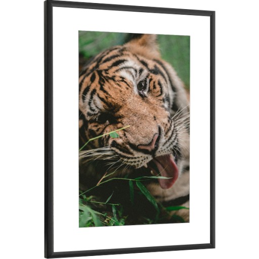 РАМКА ДЛЯ ФОТО ЧЕРНАЯ АЛЮМИНИЕВАЯ РАМА 25x38