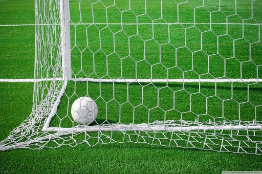 Искусственная трава 100х2410см WIMBLEDON PITCH TERRACE