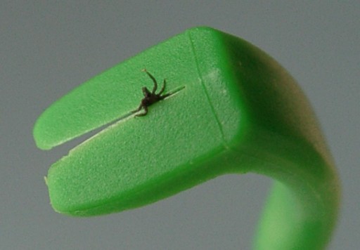 Tick Twister Kleszczołapki 2 szt usuwanie kleszczy