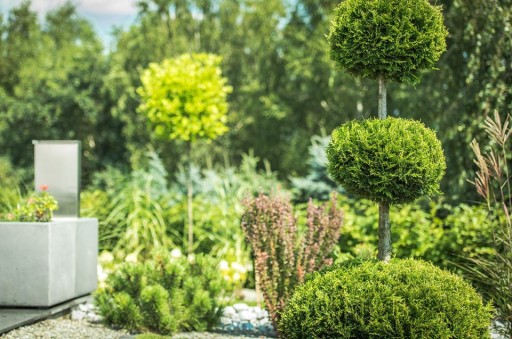 AGRECOL NAWÓZ DO IGLAKÓW TUJI ŚWIERKÓW JODEŁ CISÓW