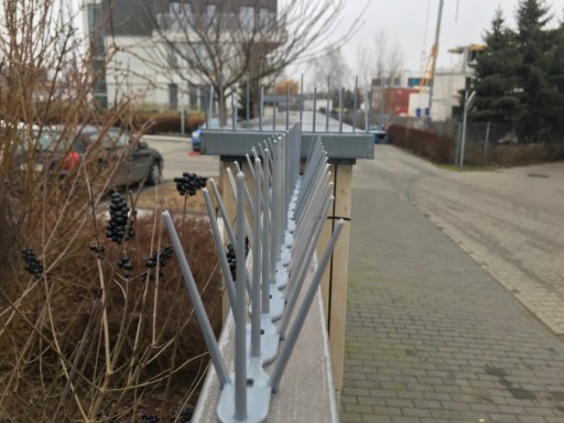 SKUTECZNE PLASTIKOWE KOLCE NA PTAKI GOŁĘBIE 4 KOLORY TRWAŁE i BEZPIECZNE