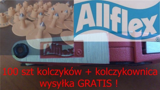 Серьги Allflex свинки поросята 100+серьга