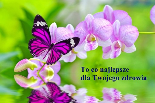 ОРИГИНАЛЬНЫЕ СВЕЧИ Хопи СВЕЧИ УШНАЯ СЕРА