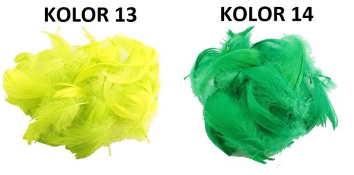 PIÓRA PIÓRKA MIX 25 SZT PIÓRO DEKORACYJNE 23xKOLOR