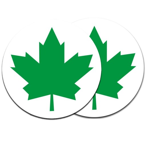 2 X GREEN LEAF ДЛЯ НАЧИНАЮЩЕГО ВОДИТЕЛЯ + БЕСПЛАТНО