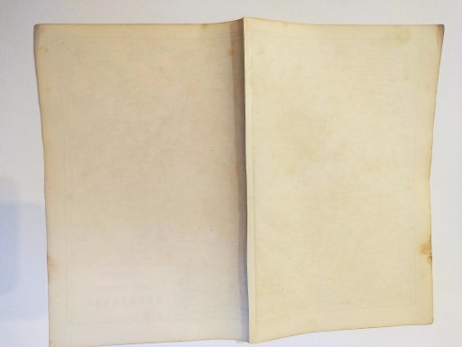 СТАРАЯ КАРТА ТЮРИНГИИ ГРАФИКА 1869 ГОДА