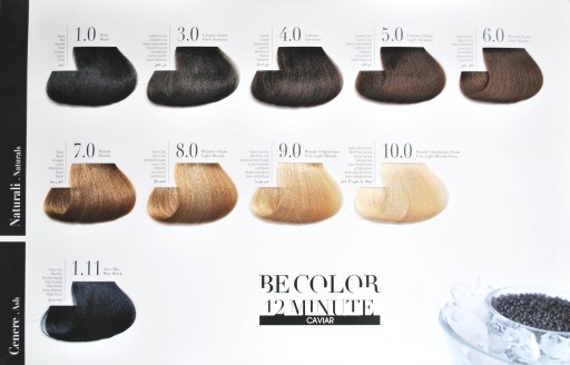 BE COLOR КРАСКА ДЛЯ ПАРИКМАХЕРСКИХ 100мл БЕЗ АММИАКА