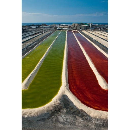 Spirulina hawaijska pacifica 500 мг 180 граммов