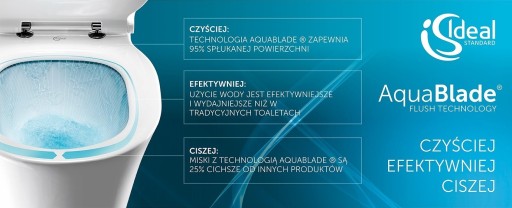 6в1 ИДЕАЛЬНАЯ СТАНДАРТНАЯ РАМА + УНИТАЗ TESI AQUABLADE