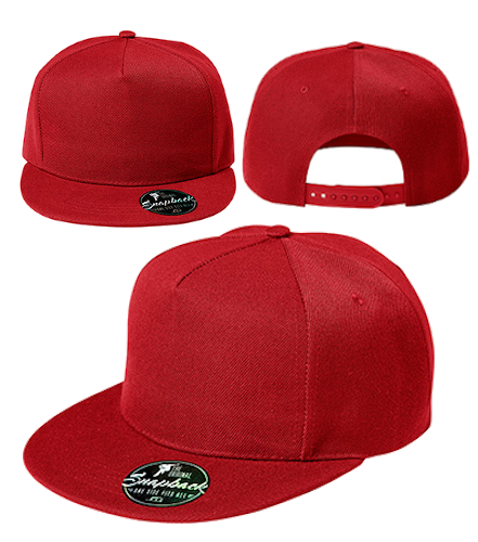 Кепка SNAPBACK ЛОГОТИП Вашей КОМПАНИИ, печать НДС, цвета
