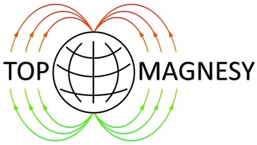 Пластинчатый магнит MPŁ 30x10x8 N45H 120 St.C 25 шт.
