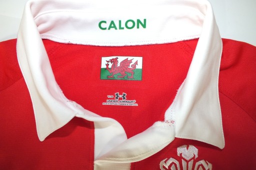 Футболка для регби Under Armour Wales Wales Wru YLG