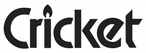 Зажигалка с кремнем CRICKET ED-1 Fusion Intense