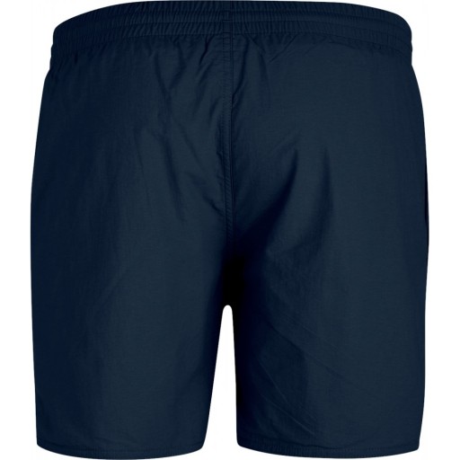 Мужские пляжные шорты Speedo, оттенки синего L