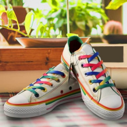 Шнурки Rainbow PARA RAINBOW Разноцветные 100см PL48h