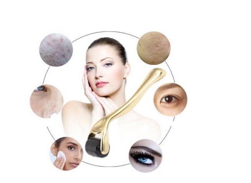 ДЕРМАРОЛЕР 0,50 мм DERMA ROLLER 540 TITANIUM MEZO