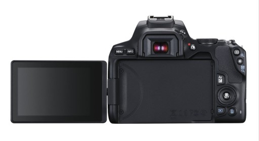 Canon EOS 250D + EF-S 18-55mm f/4-5.6 IS STM