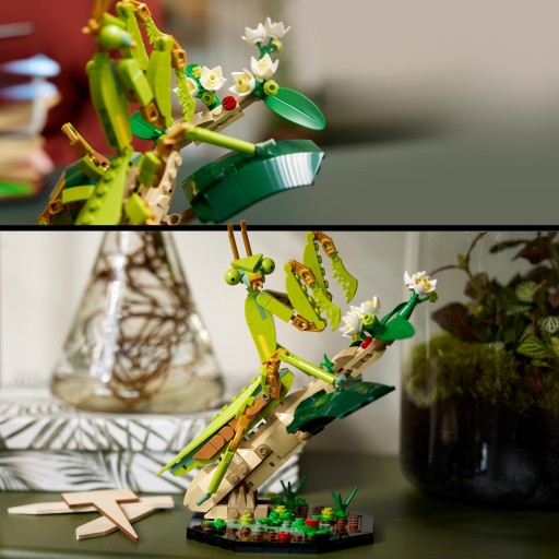 LEGO Ideas 21342 Коллекция насекомых-бабочка-богомол-жук-диорама в подарок