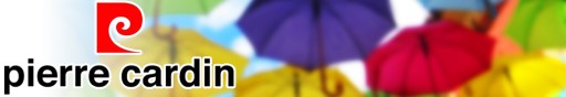 Y17 Składany męski Parasol Pierre Cardin Noire