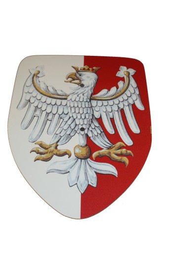 Рыцарский щит, костюм рыцаря орла