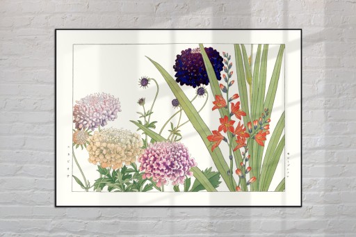DRIAKIEW MONTBRECJA KROKOSMIA sztuka japońska dekoracja vintage 21x30 (A4)