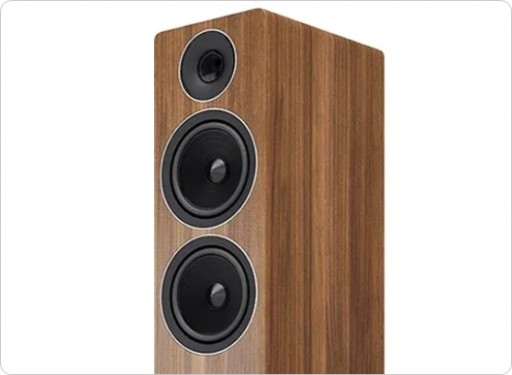 ACOUSTIC ENERGY AE309 НАПОЛЬНЫЕ Акустические системы из ореха