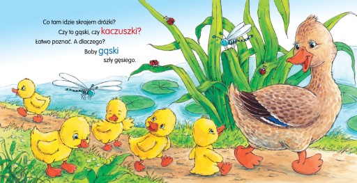 КВА КВА УТКА КНИГА, СКАЗКИ, СТИХИ