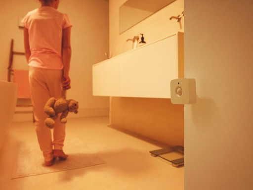 Датчик движения Philips Hue 8719514342125