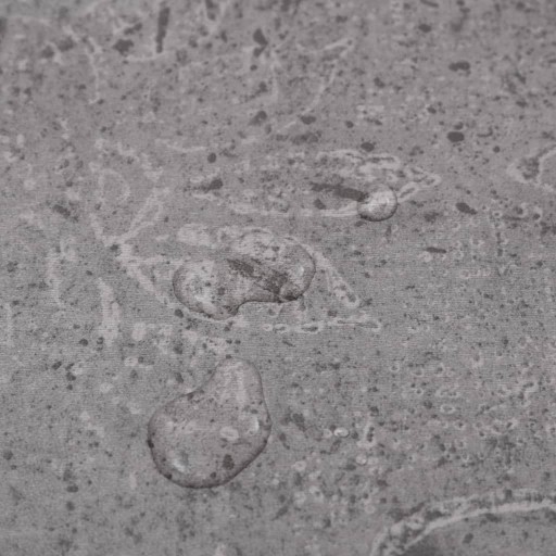 SAMOPRZYLEPNE PANELE PODŁOGOWE PVC 5,21M² 2MM BRĄZ