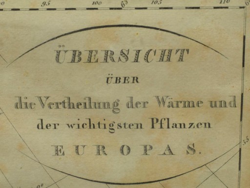 1835r. Stara Mapa roślinności Europy 42x32 cm