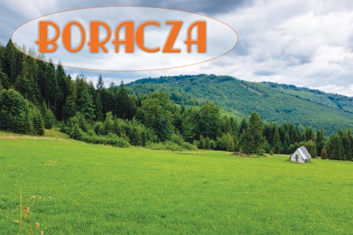 Magnesy na lodówkę miasta - BORACZA