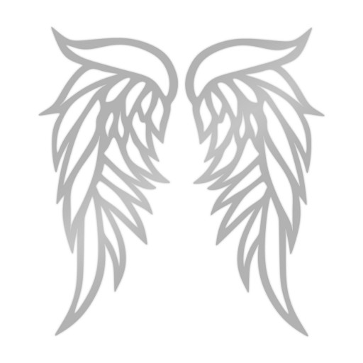 WINGS серебряный зеркальный настенный декор A207 60x56