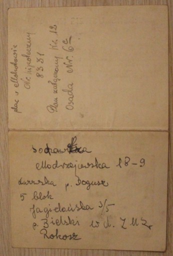 ARBEITSAUSWEIS - Варшау, дата 15.03.1944 ВАРШАВА, ИДЕНТИФИКАЦИЯ СОТРУДНИКА