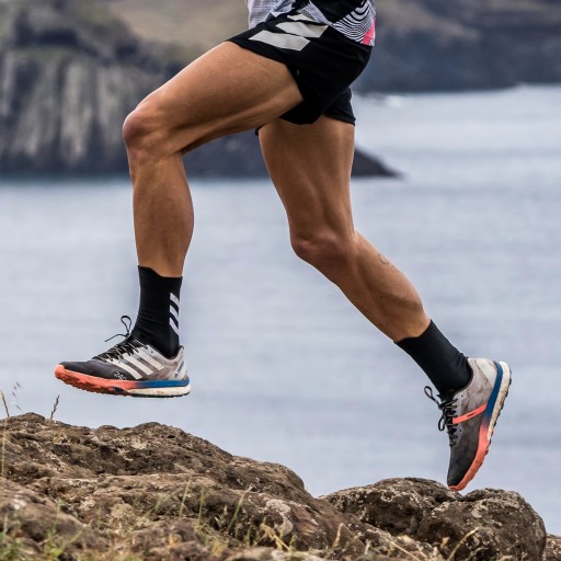 Мужские кроссовки Adidas для БЕГА/СТАРТА Terrex Speed ​​Ultra M размер 43 1/3