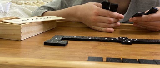 РАЗВИВАЮЩАЯ ИГРА ДЛЯ ДЕТЕЙ ДЕРЕВЯННЫЕ БЛОКИ ДОМИНО В КОРОБКЕ 28 шт.