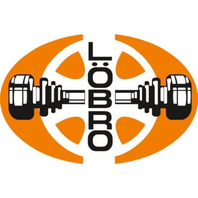 Комплект приводных шарниров LÖBRO 304329 1K0498099B