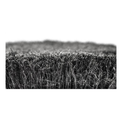 MUC-OFF SOFT WASHING щеточка для чистки