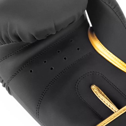 Боксерские перчатки для спарринга и тренировок BUSHIDO Gold Dragon Boks 16 унций
