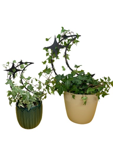Podpórki do kwiatów roślin podpórka podpora pergola KSIĘŻYC M - 26cm